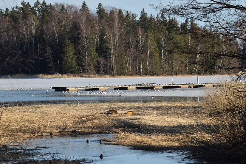 Jokisuisto-Kuva-Tommi-Heinonen